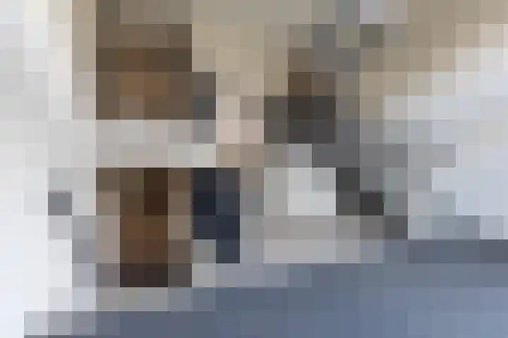 De Stelling 17 Muiden thumbnail 25