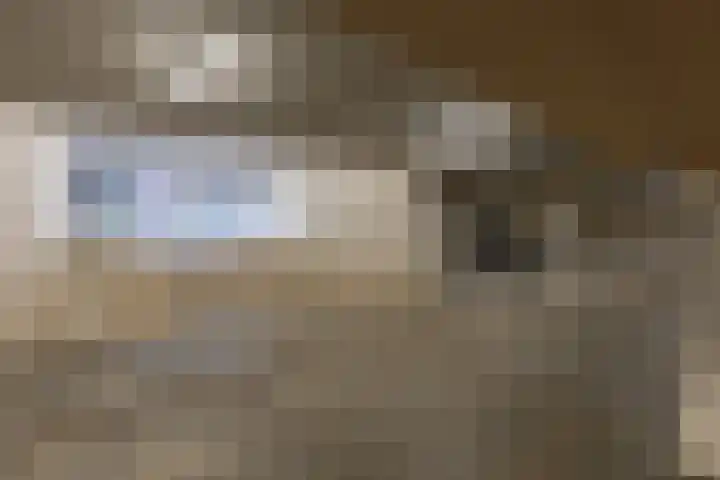 De Stelling 17 Muiden thumbnail 26