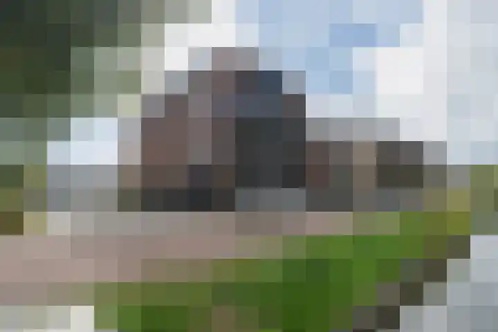 De Stelling 17 Muiden thumbnail 30