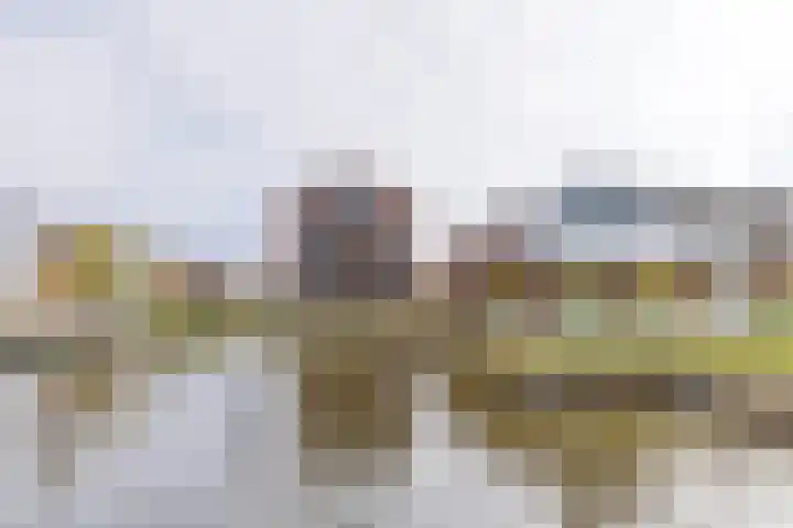 De Stelling 17 Muiden thumbnail 31