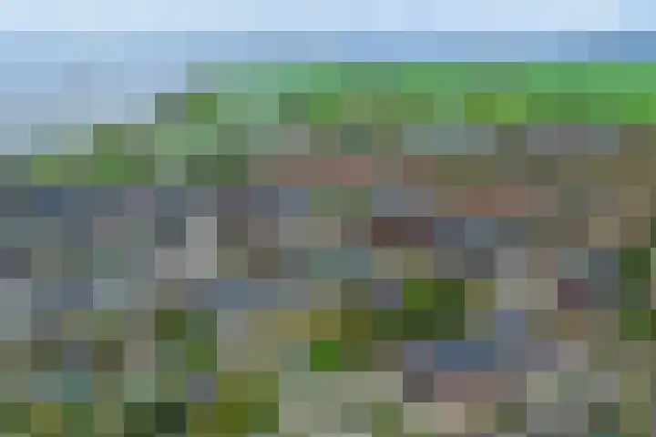 De Stelling 17 Muiden thumbnail 32
