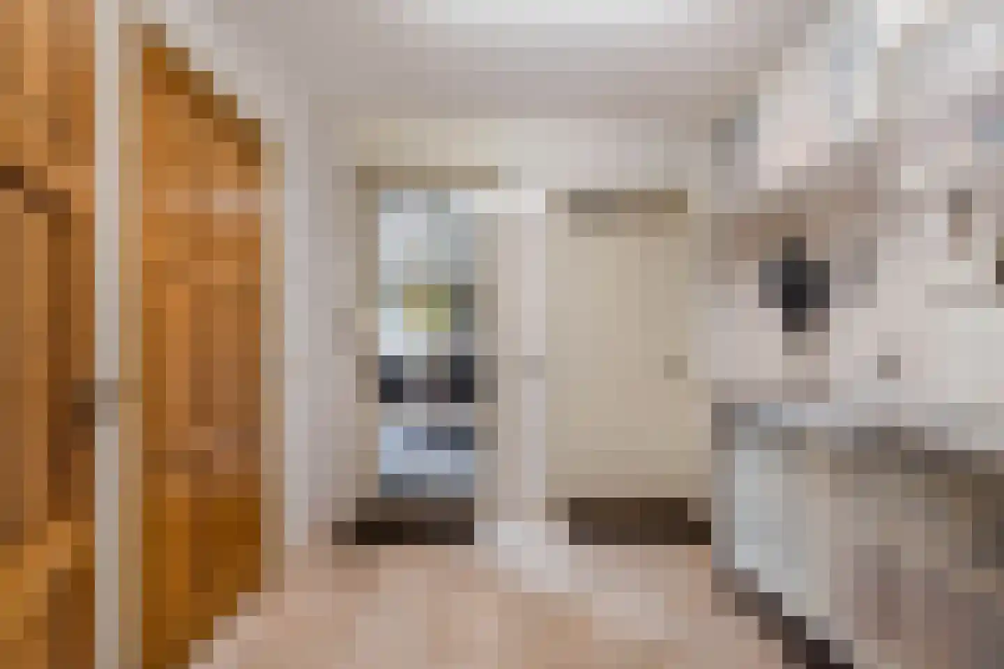 De Stelling 22 Noordwolde thumbnail 25