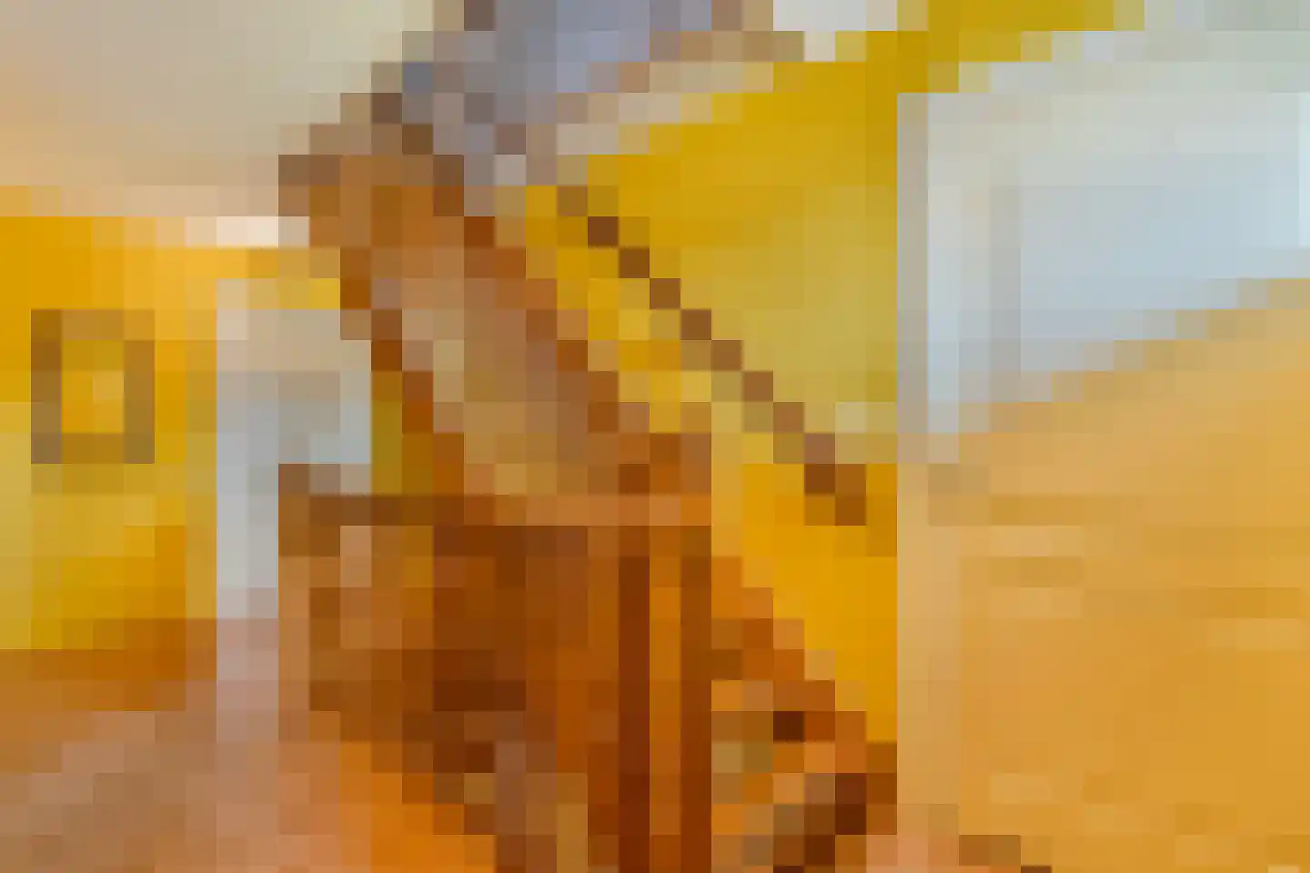 De Stelling 22 Noordwolde thumbnail 41