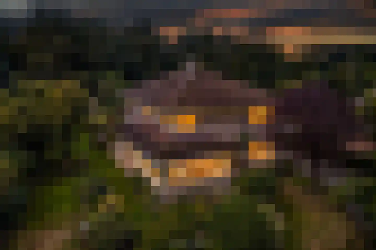 De Stelling 22 Noordwolde thumbnail 6