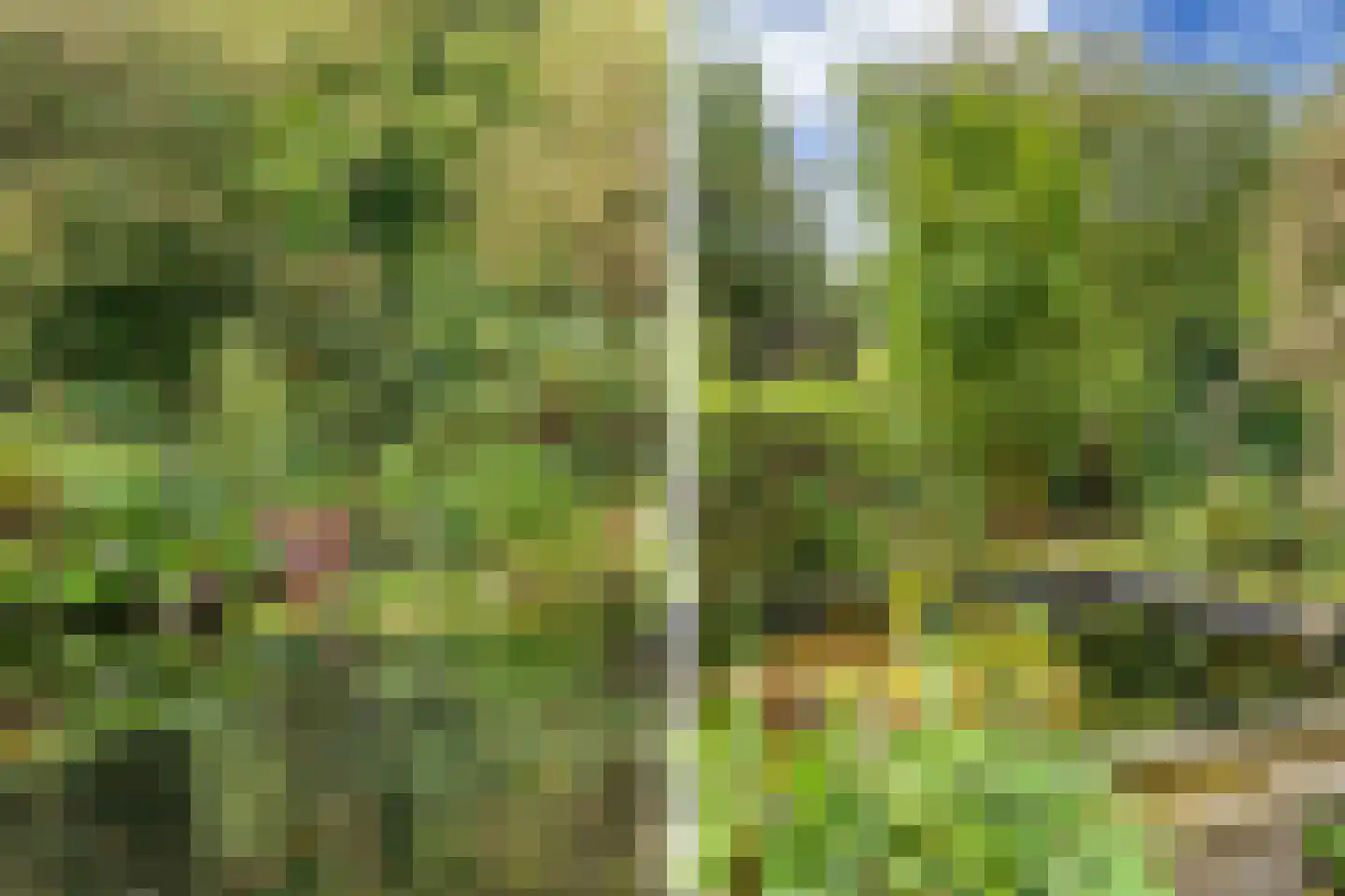 De Stelling 22 Noordwolde thumbnail 62