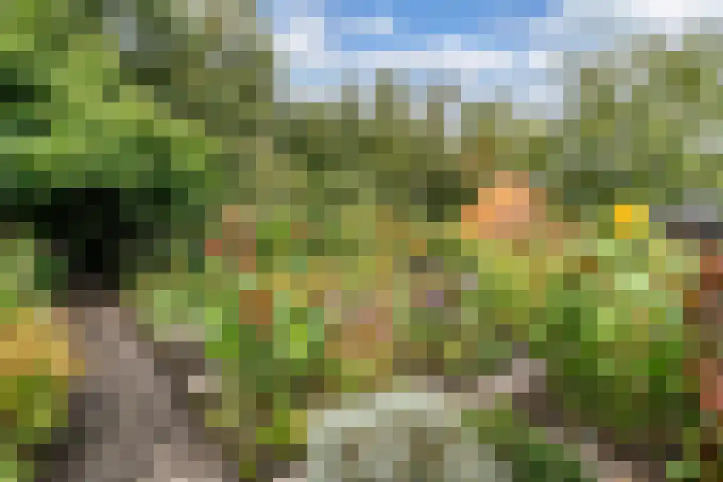 De Stelling 22 Noordwolde thumbnail 64