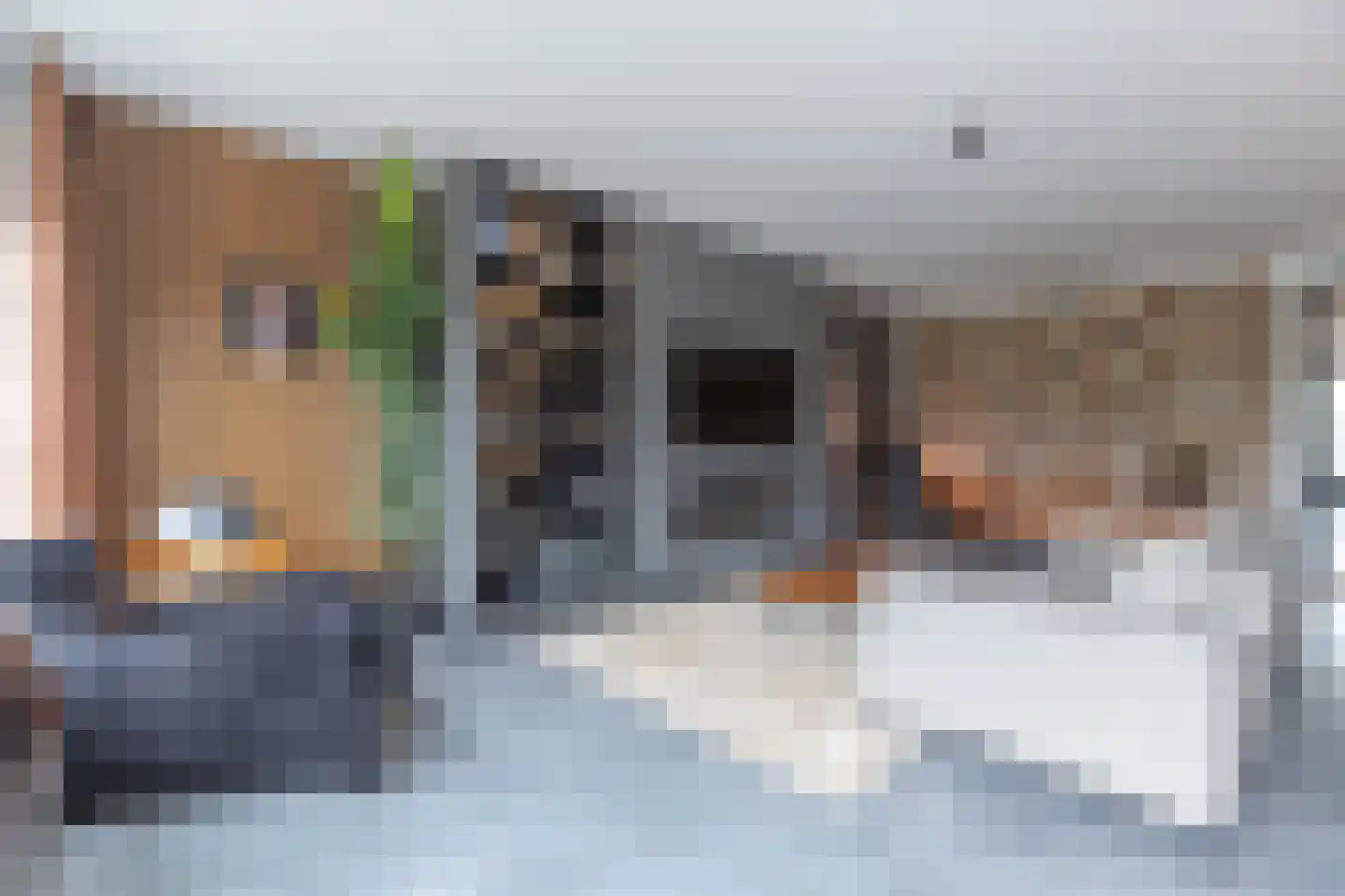 De Stelling 26 Muiden thumbnail 12