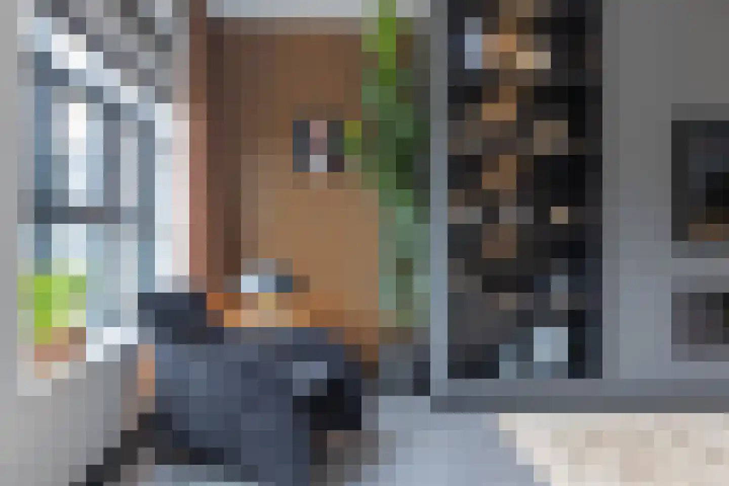 De Stelling 26 Muiden thumbnail 13