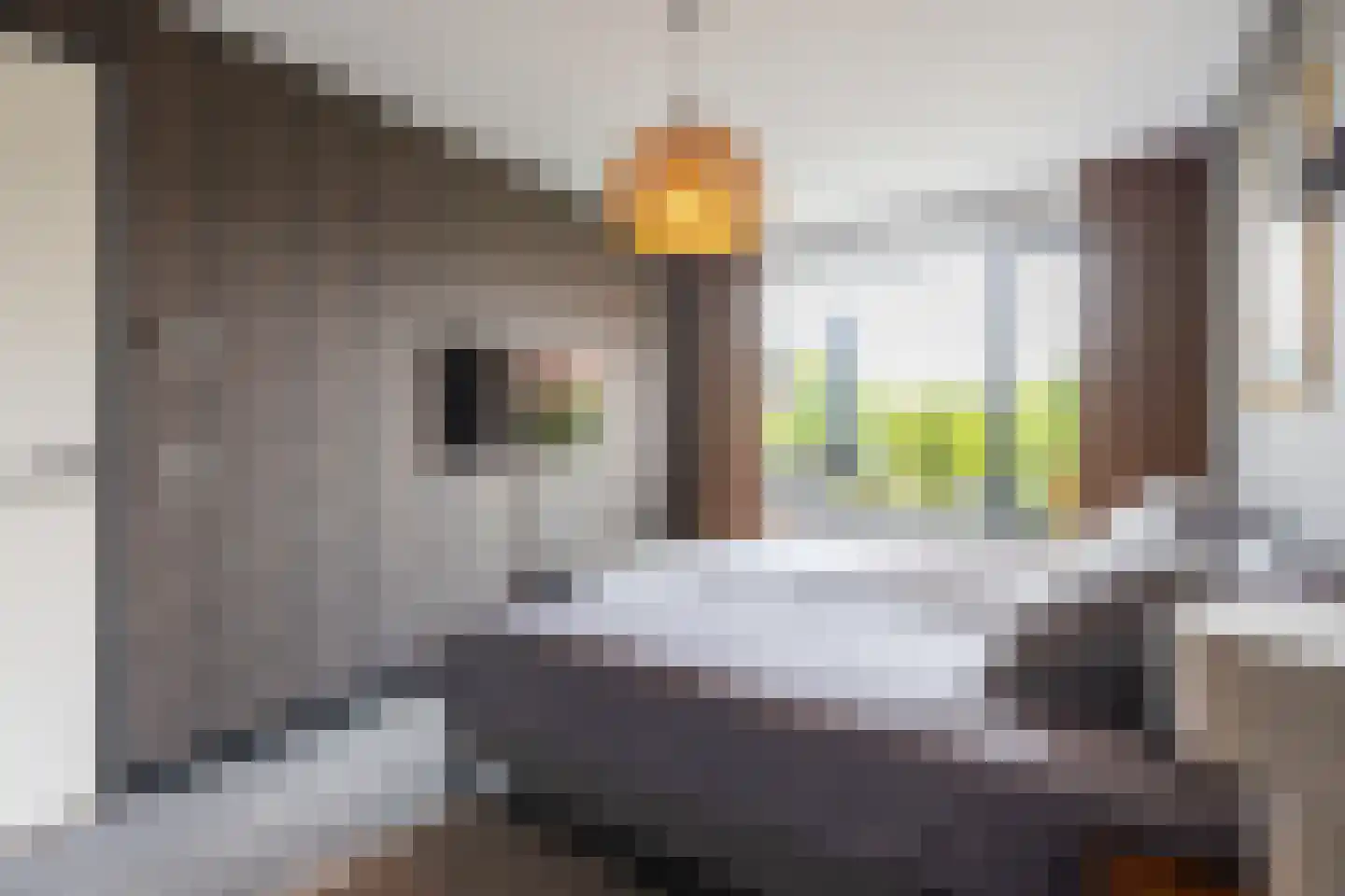 De Stelling 26 Muiden thumbnail 26