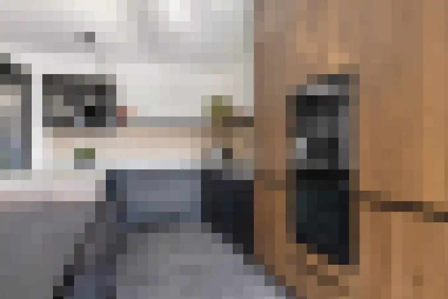 De Stelling 26 Muiden thumbnail 5