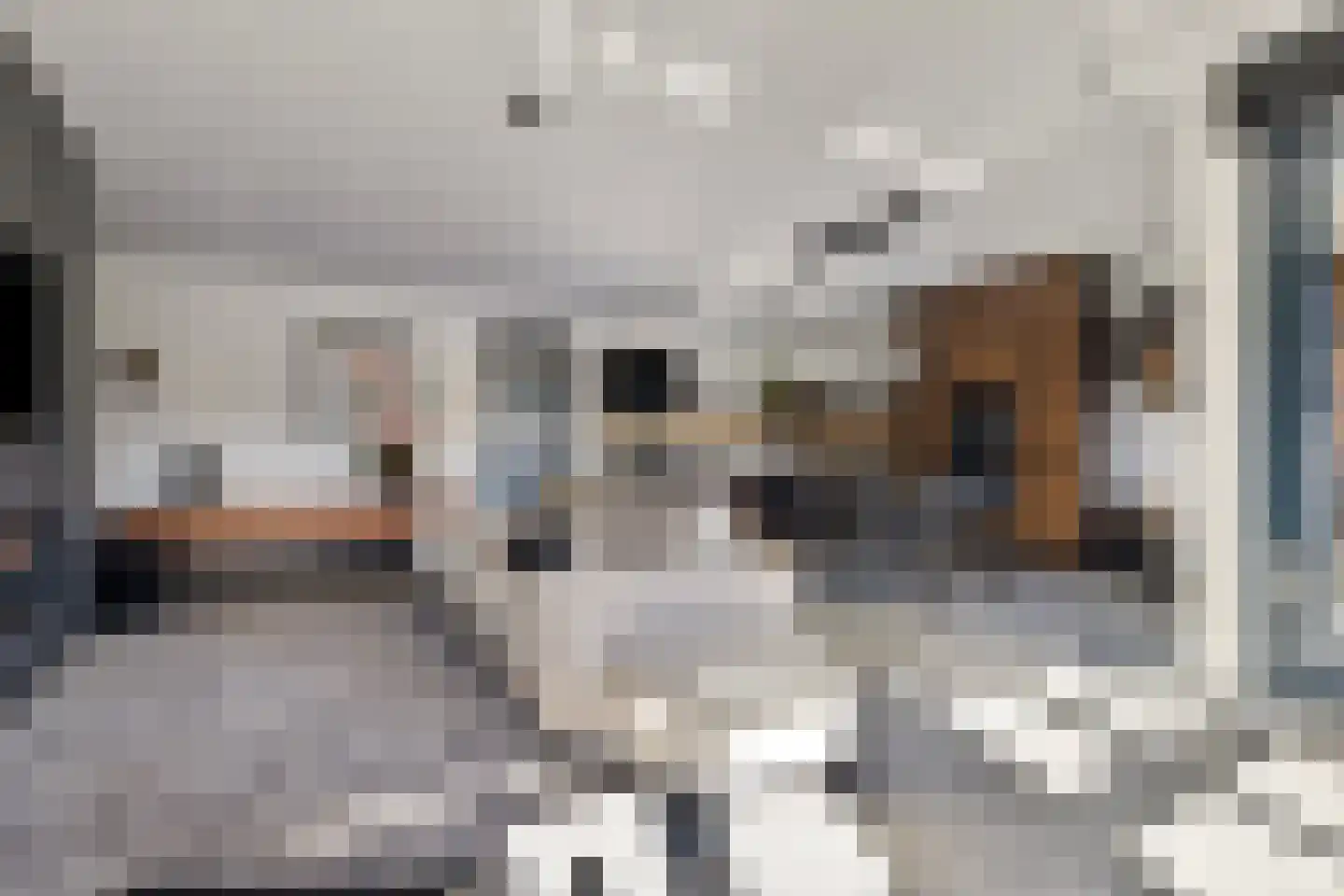 De Stelling 26 Muiden thumbnail 7