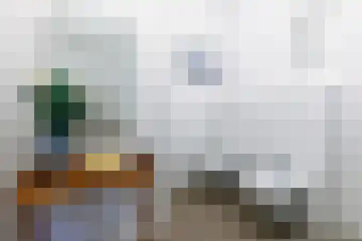 De Stelling 31 Muiden thumbnail 20