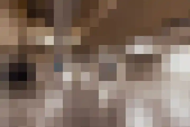 De Stelling 31 Muiden thumbnail 27