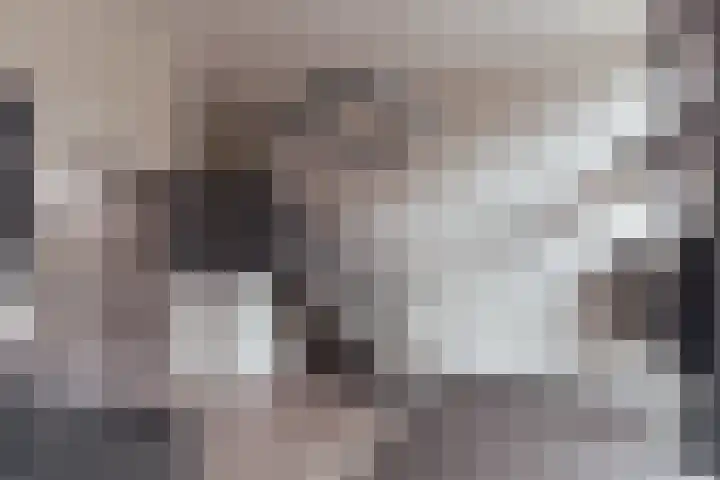 De Stelling 31 Muiden thumbnail 5