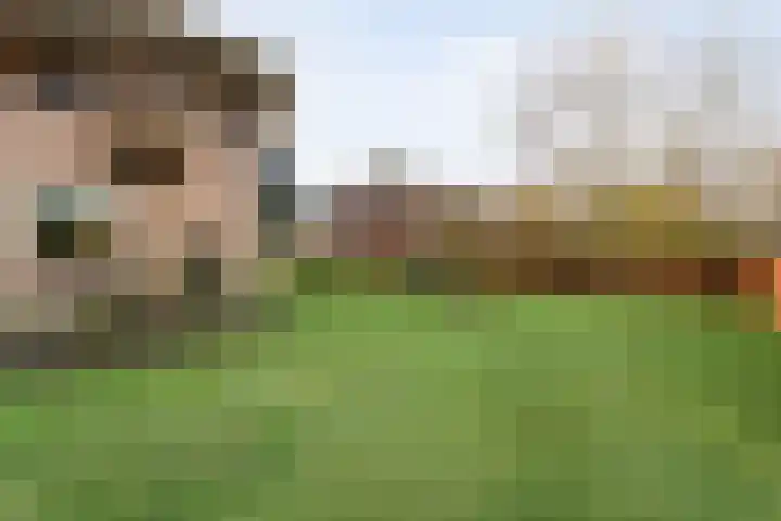 De Stelling 34 Noordwolde thumbnail 13