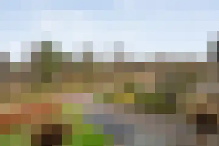 De Stelling 34 Noordwolde thumbnail 49