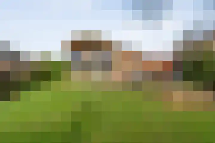 De Stelling 34 Noordwolde thumbnail 58