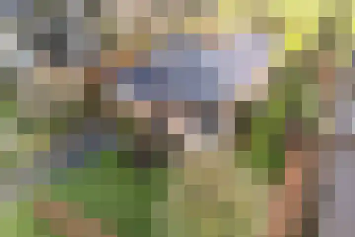 De Stelling 34 Noordwolde thumbnail 7