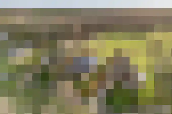 De Stelling 34 Noordwolde thumbnail 8