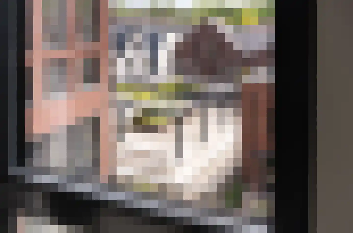 De Stelling 37 Muiden thumbnail 31