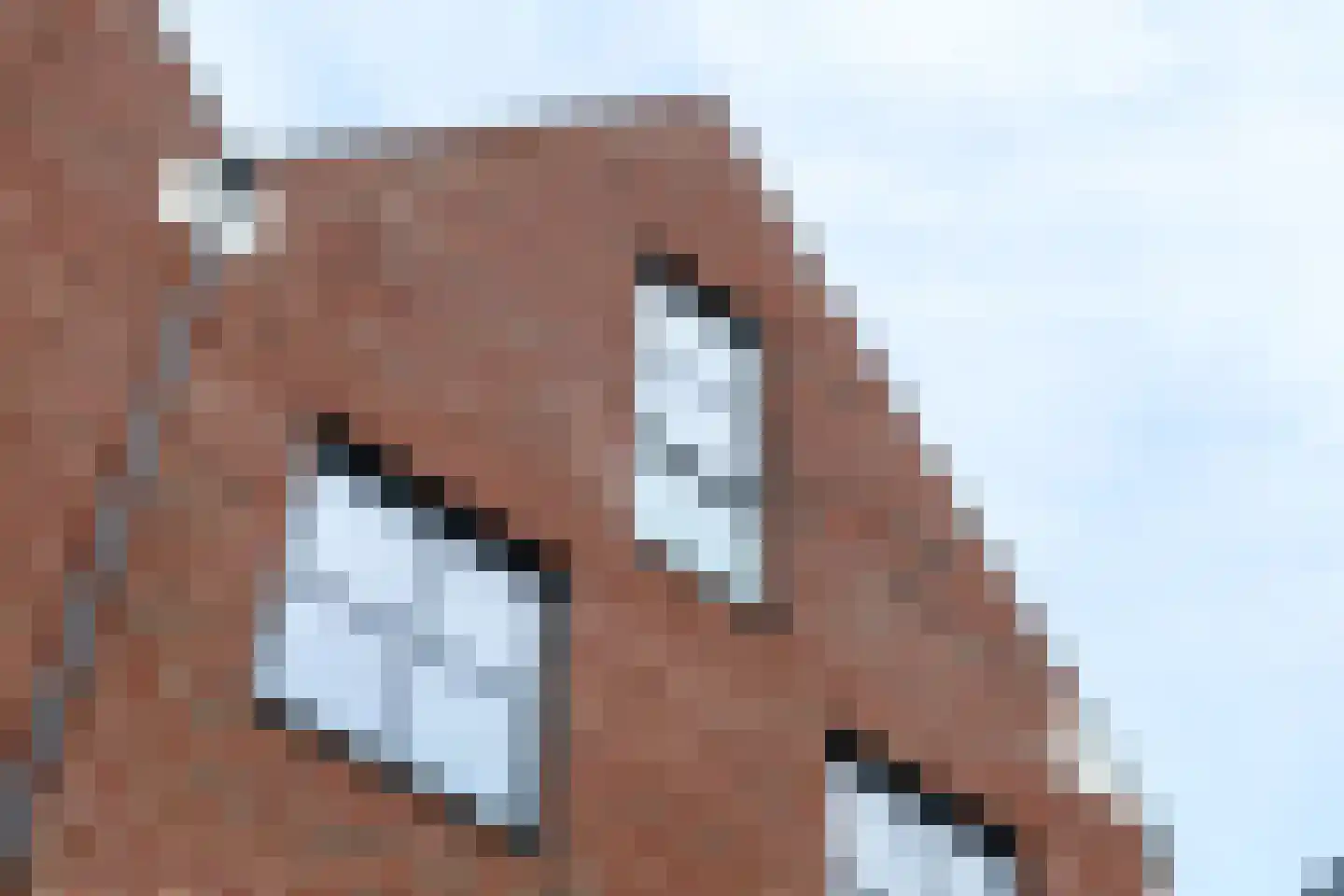 De Stelling 37 Muiden thumbnail 33
