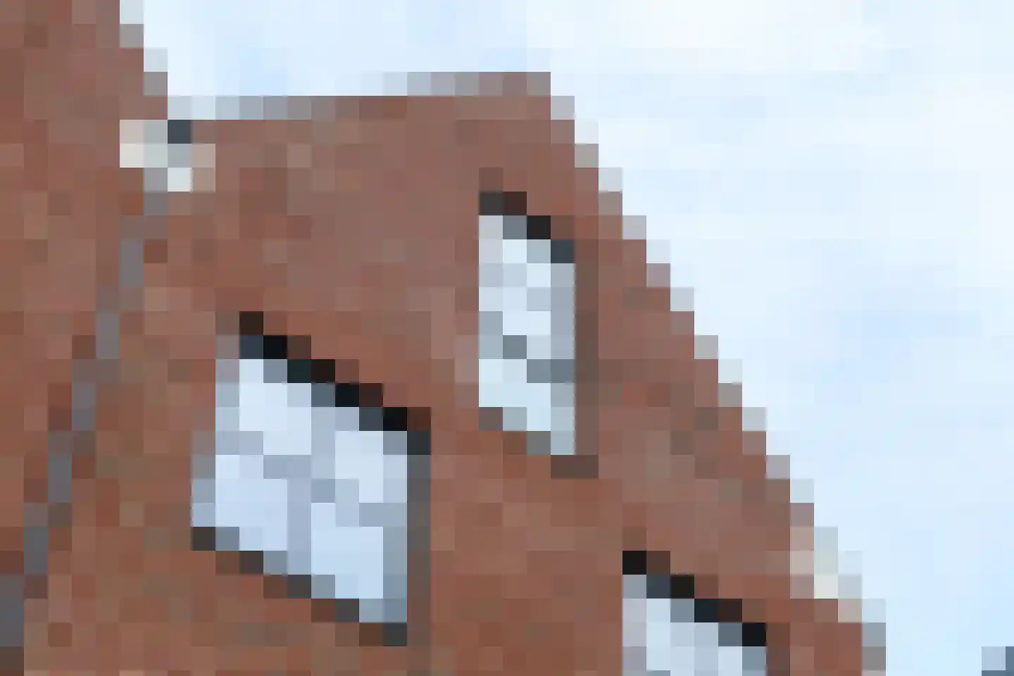 De Stelling 37 Muiden thumbnail 33