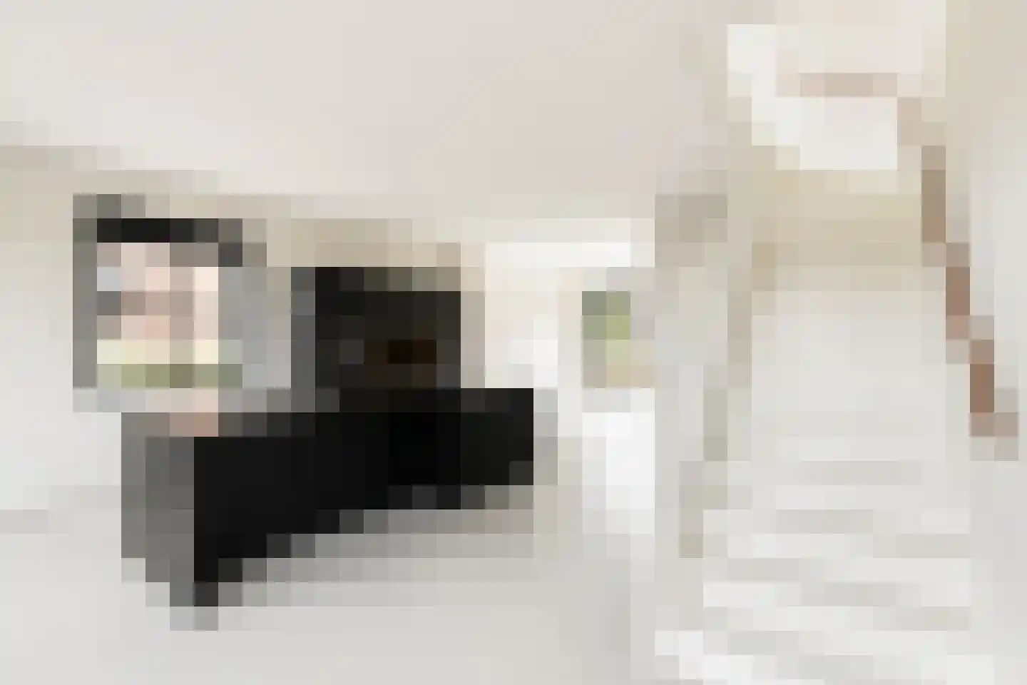 De Stelling 37 Muiden thumbnail 7