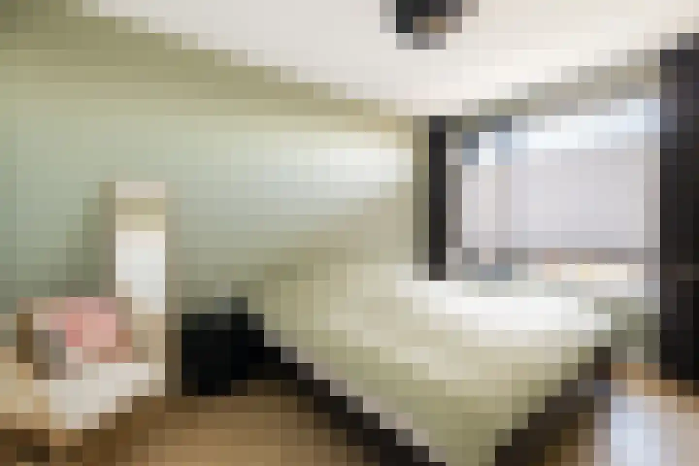 De Stelling 54 Muiden thumbnail 11