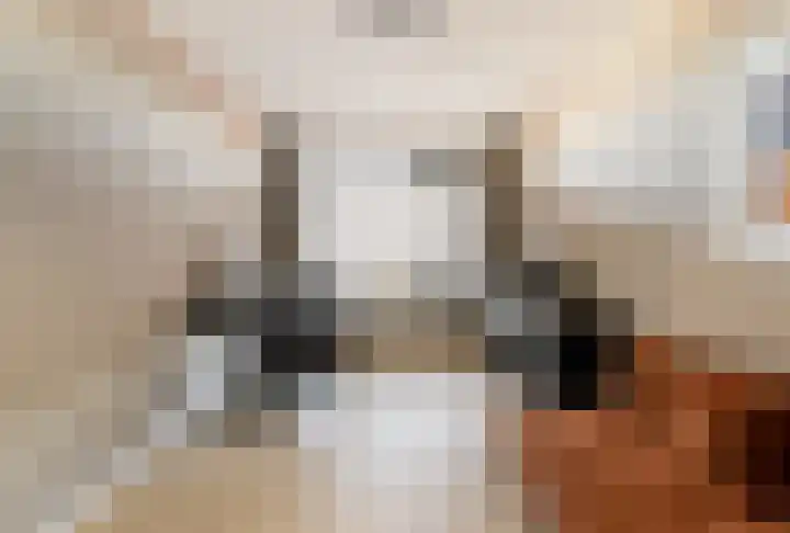 De Stelling 54 Muiden thumbnail 15
