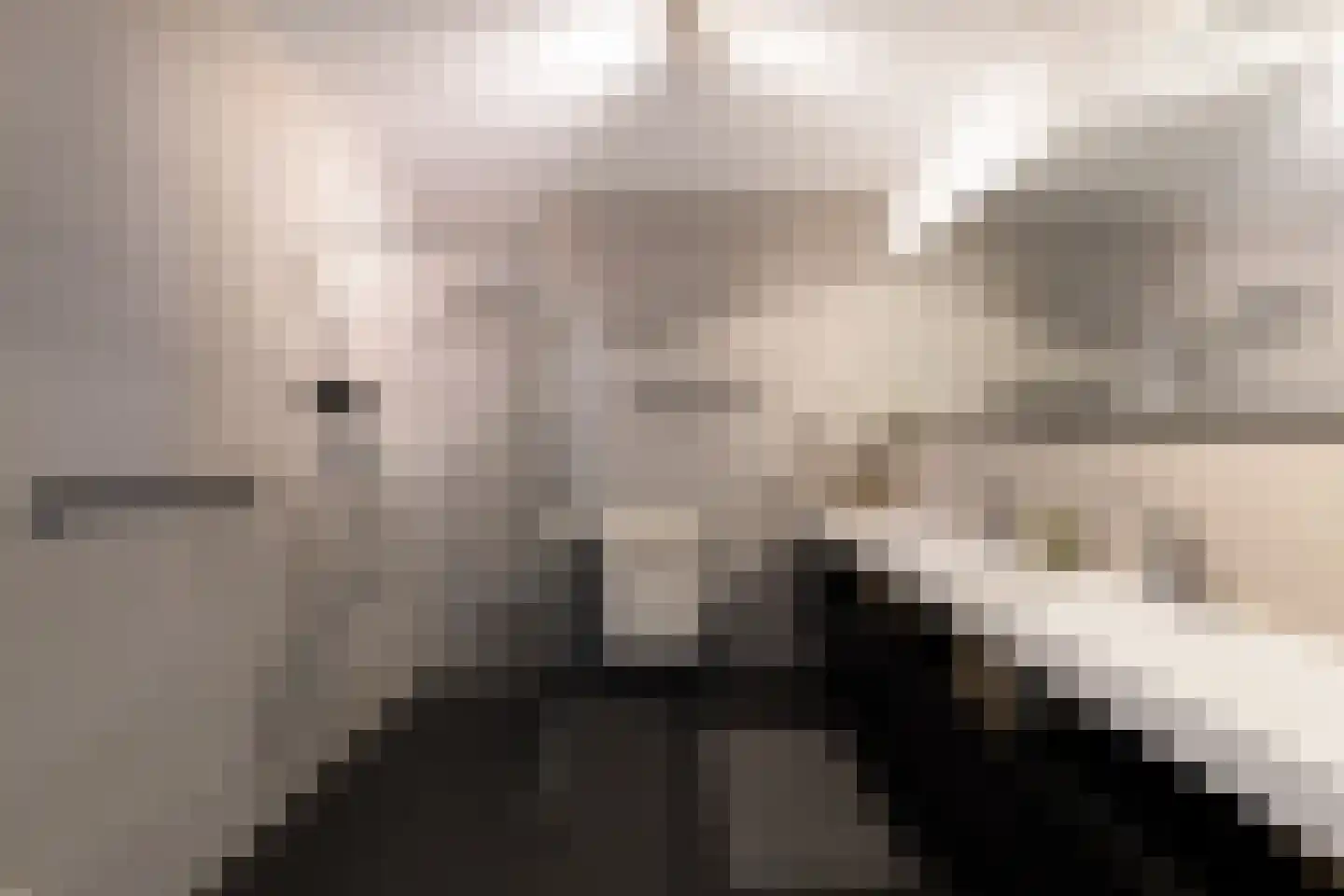 De Stelling 54 Muiden thumbnail 16
