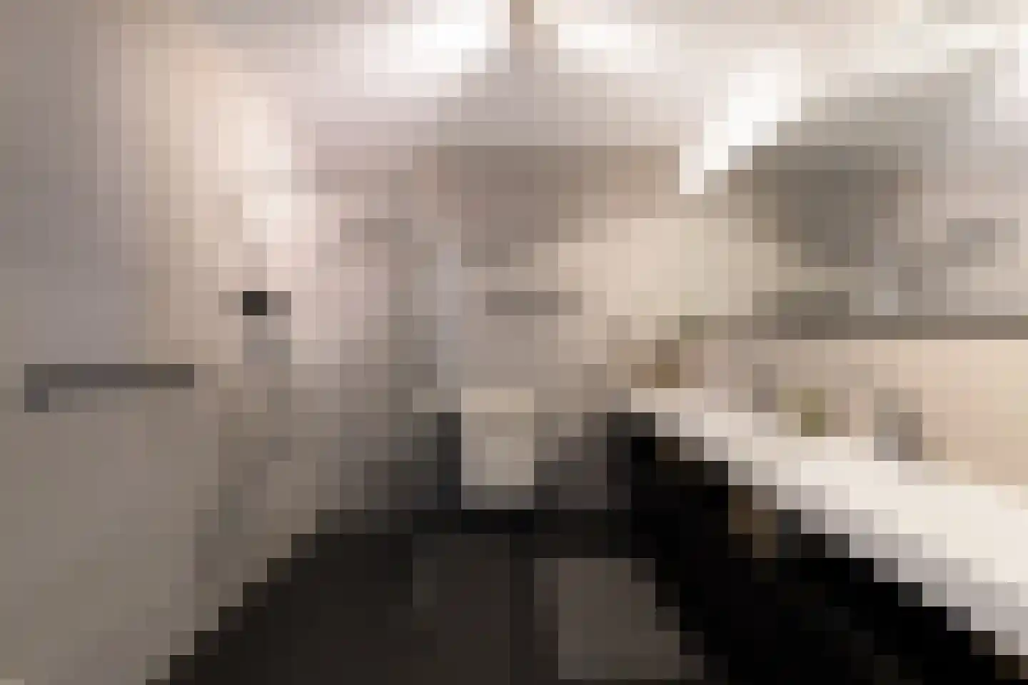 De Stelling 54 Muiden thumbnail 17