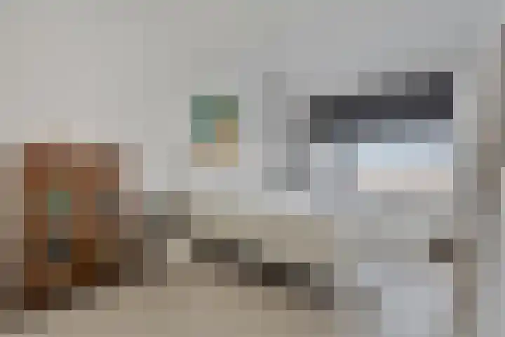 De Stelling 56 Muiden thumbnail 19