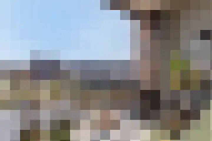 De Stelling 56 Muiden thumbnail 4