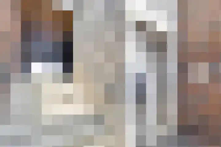 De Stelling 56 Muiden thumbnail 6