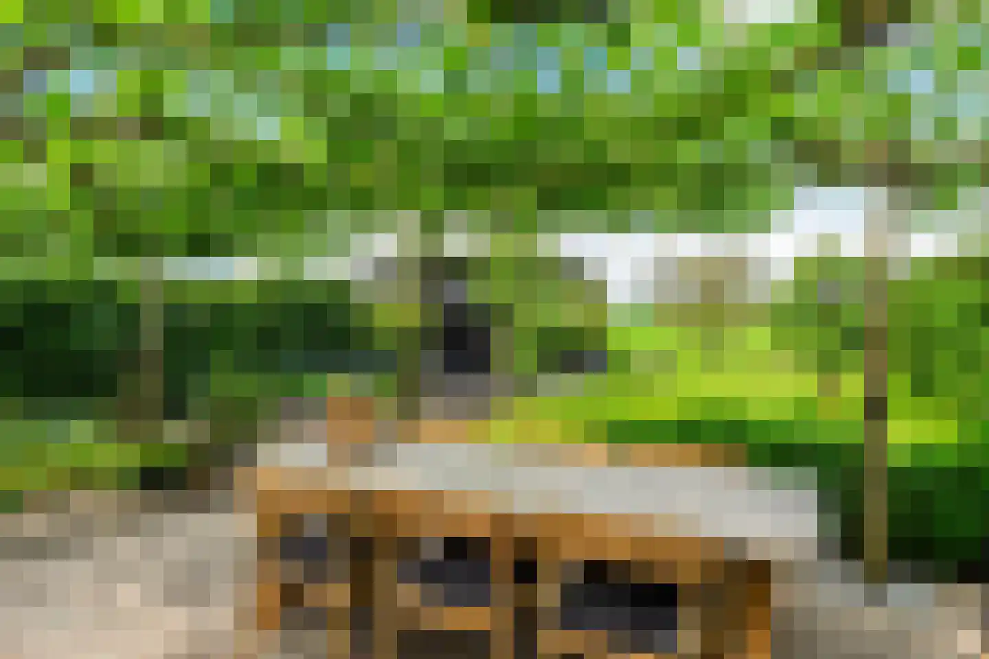 De Stelling 8 Suwâld thumbnail 15