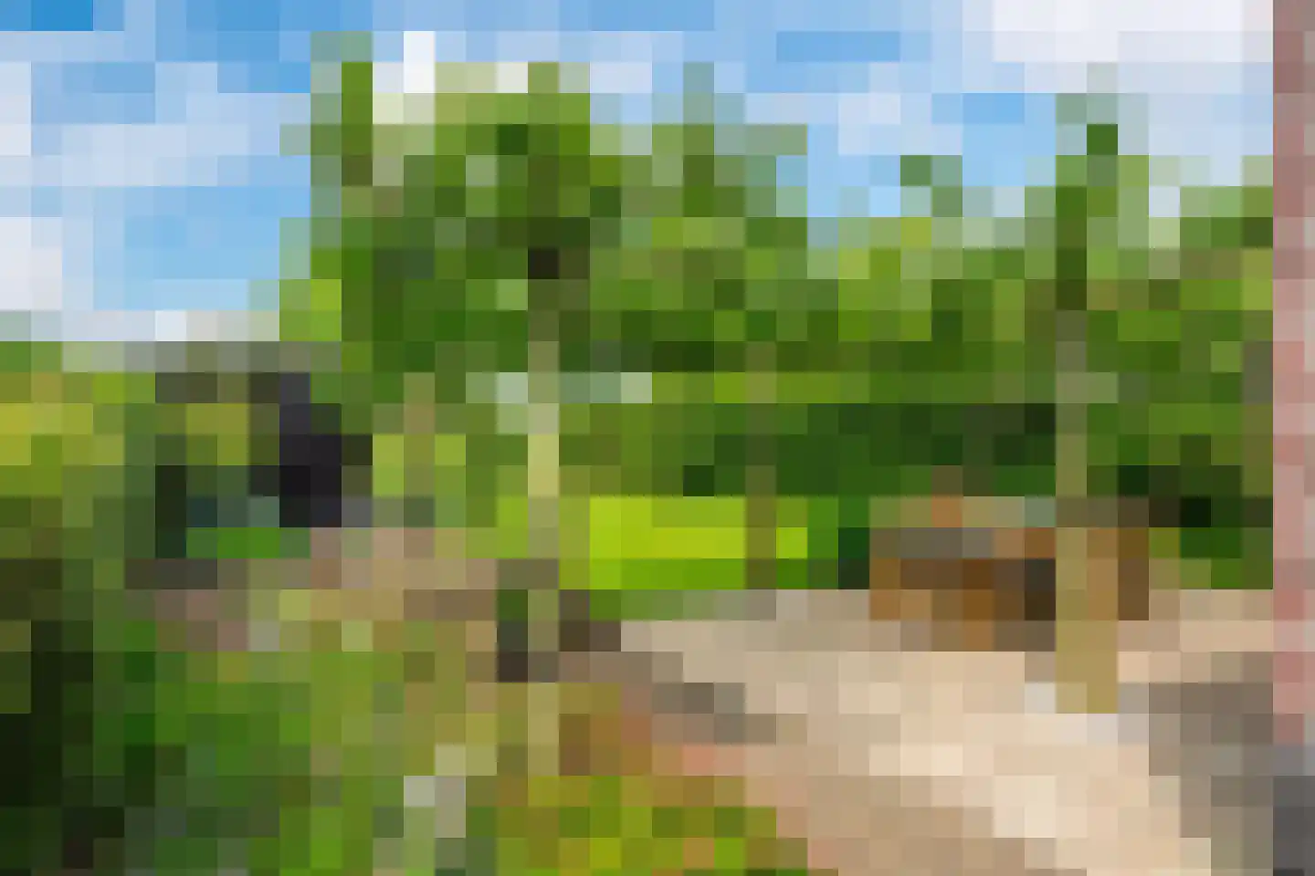 De Stelling 8 Suwâld thumbnail 16
