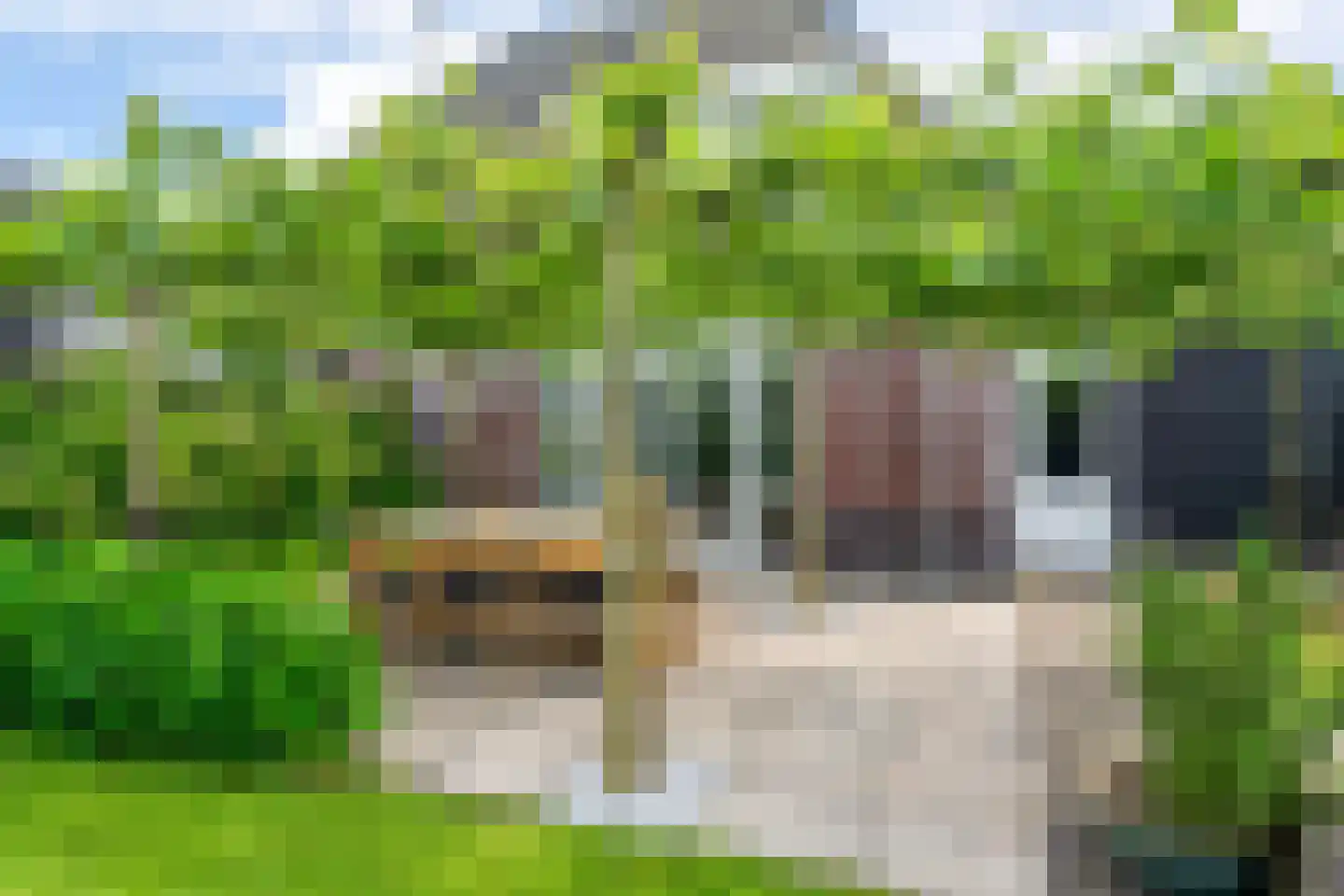 De Stelling 8 Suwâld thumbnail 17