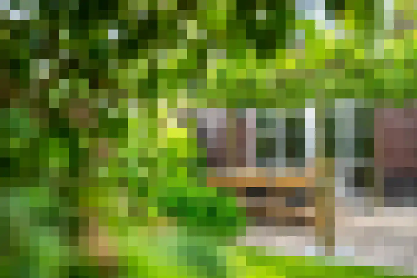 De Stelling 8 Suwâld thumbnail 18