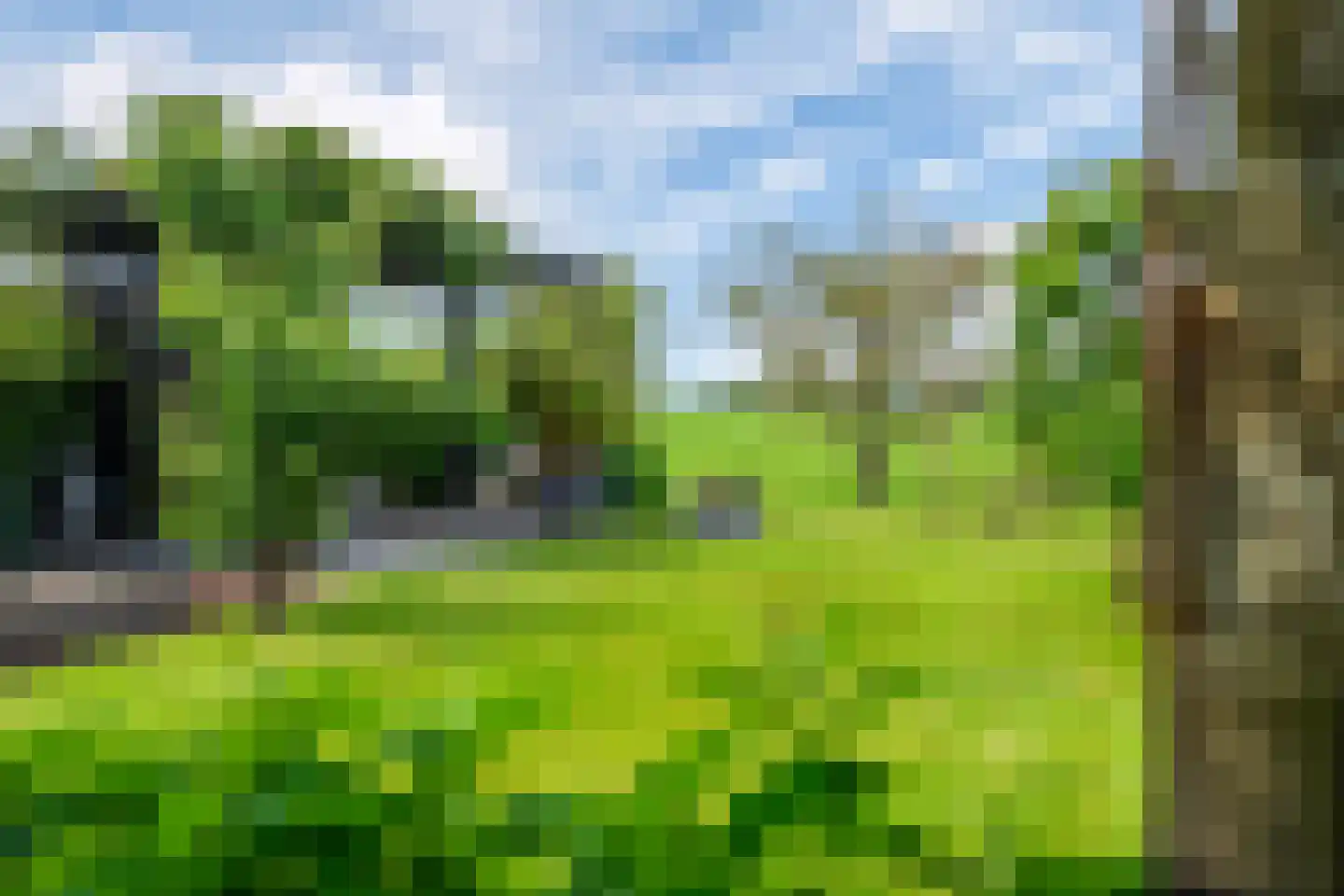 De Stelling 8 Suwâld thumbnail 19