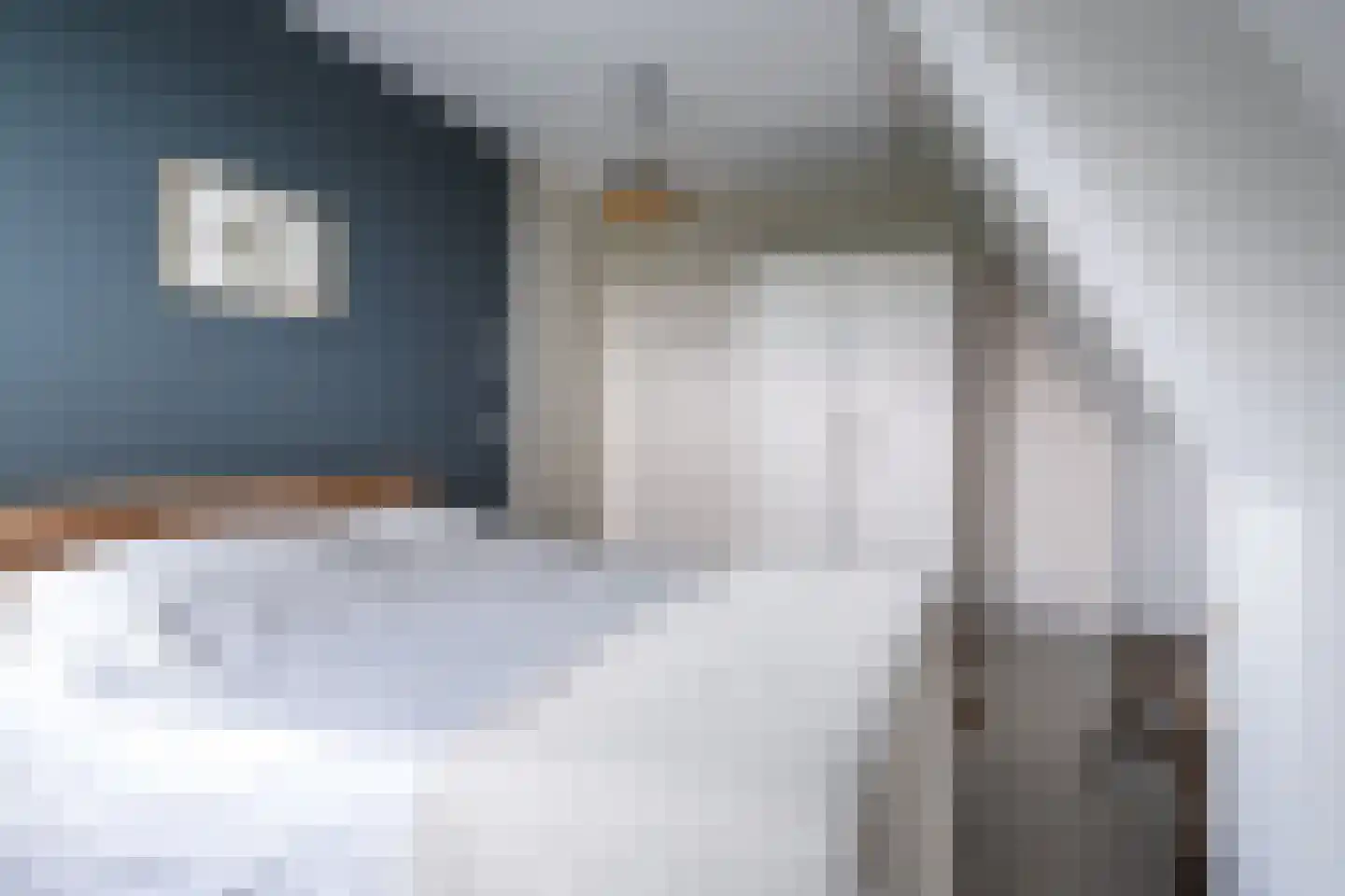 De Stelling 8 Suwâld thumbnail 28