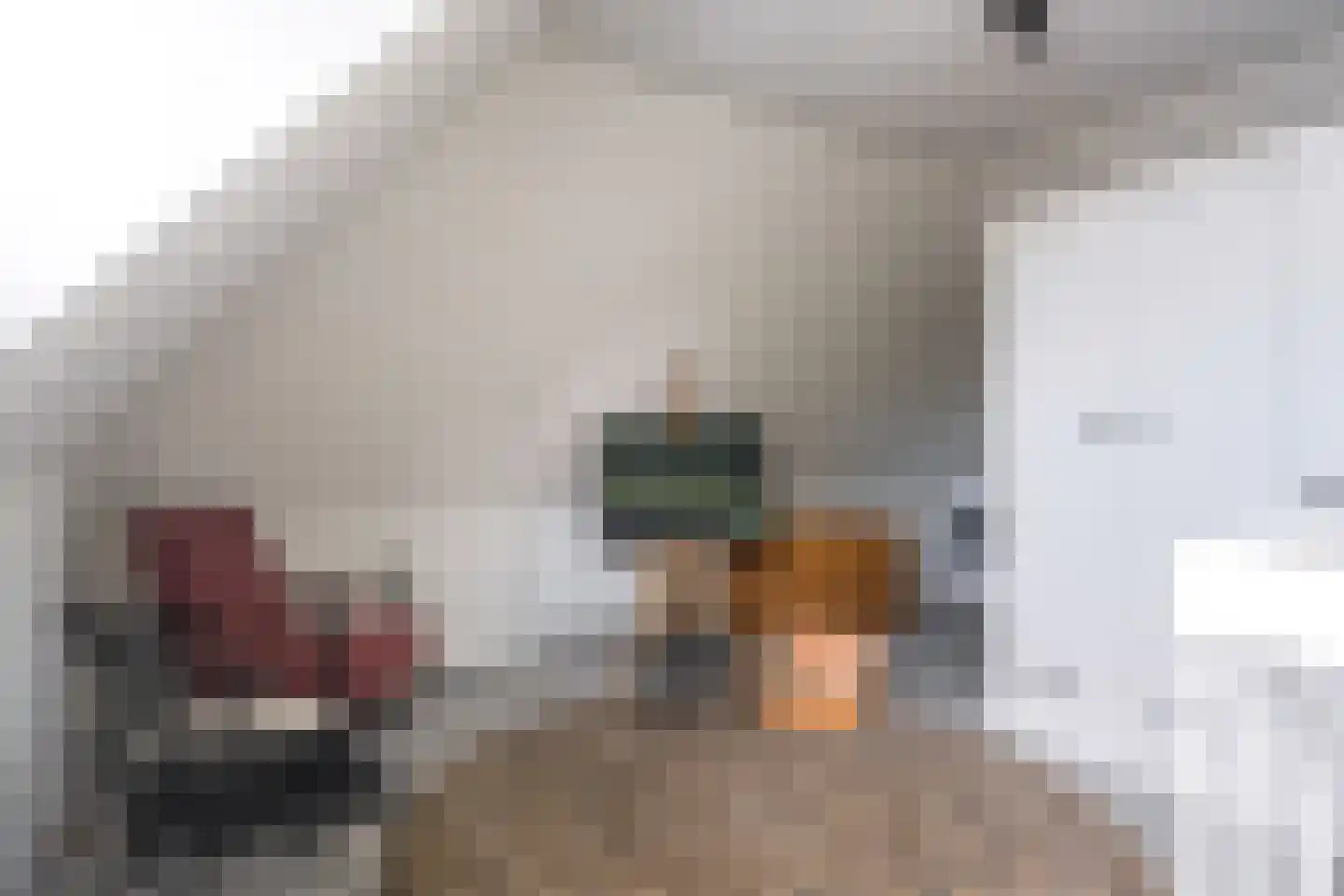 De Stelling 8 Suwâld thumbnail 36