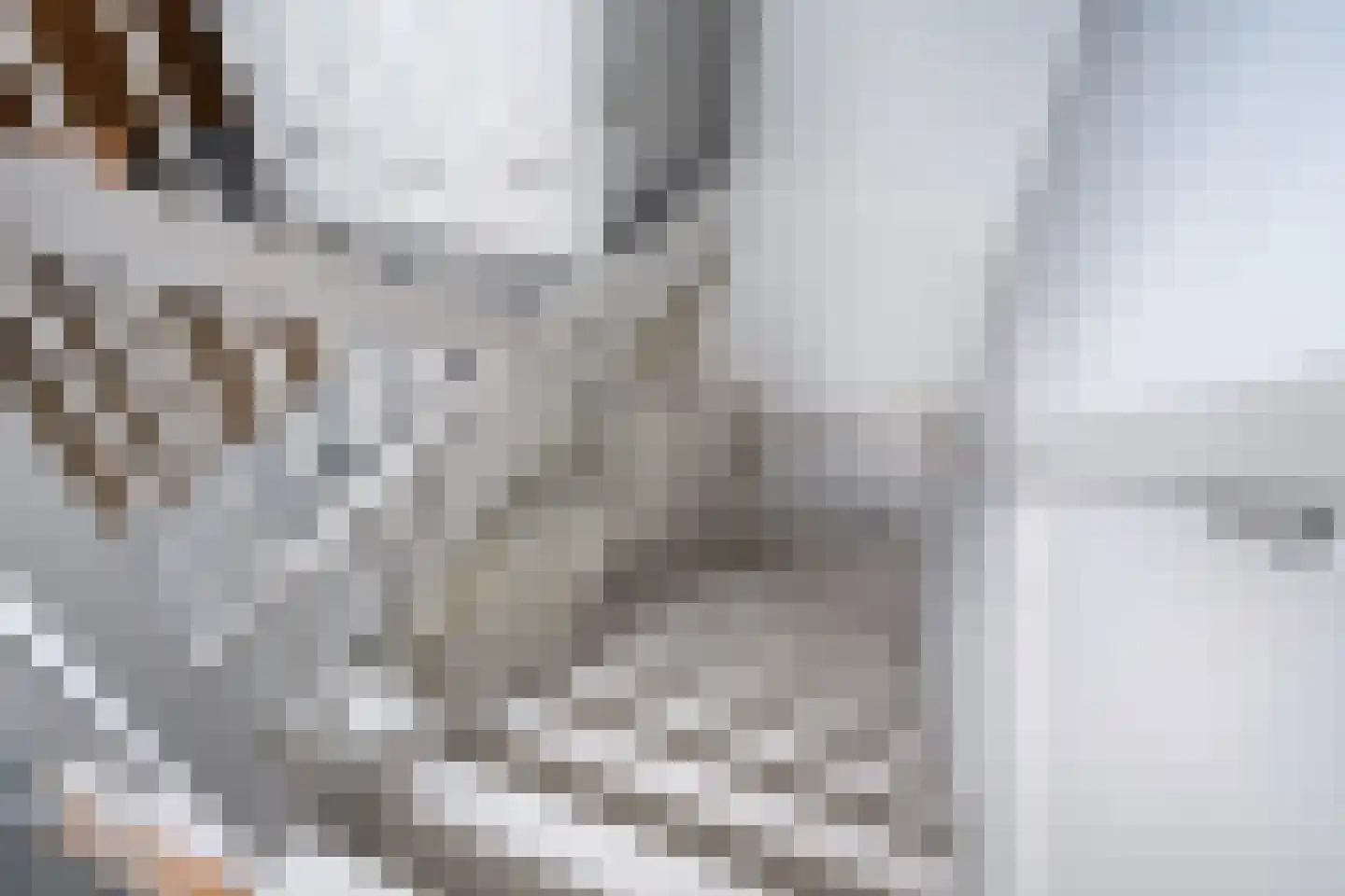 De Stelling 8 Suwâld thumbnail 38