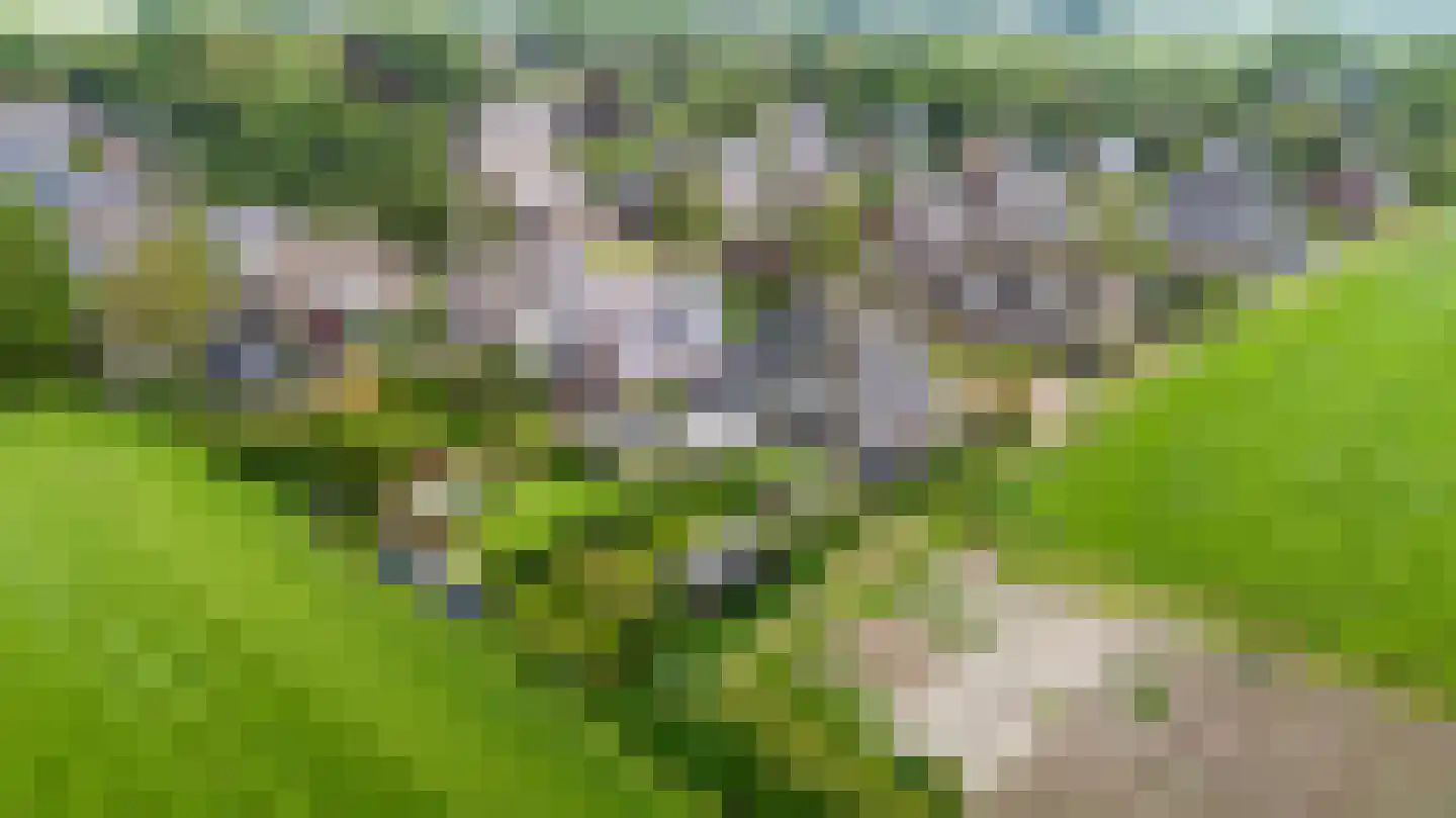 De Stelling 8 Suwâld thumbnail 43