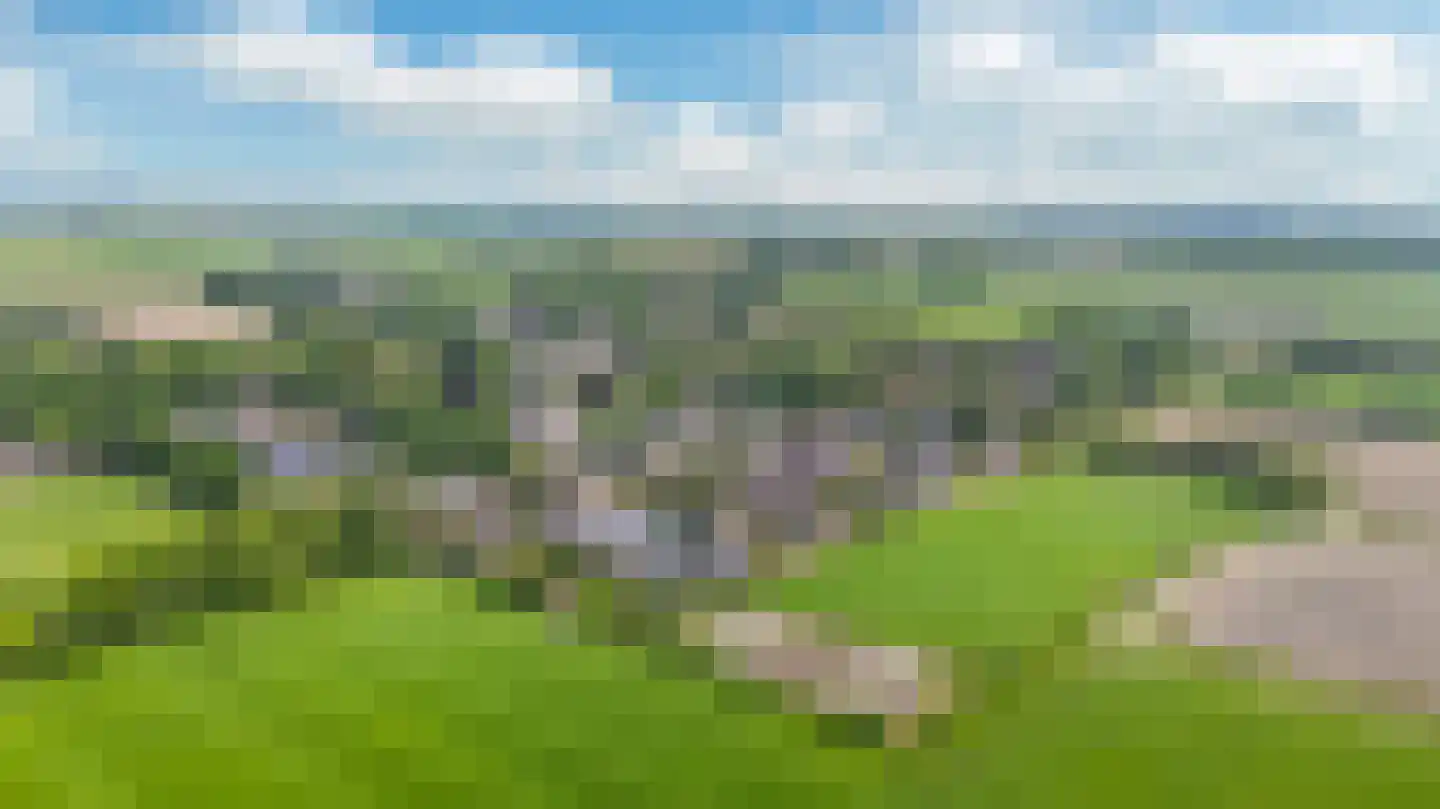 De Stelling 8 Suwâld thumbnail 44