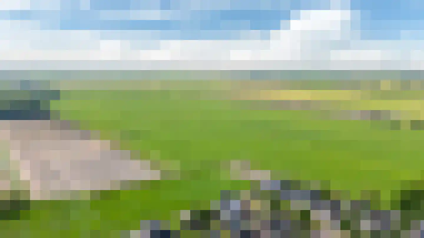 De Stelling 8 Suwâld thumbnail 46