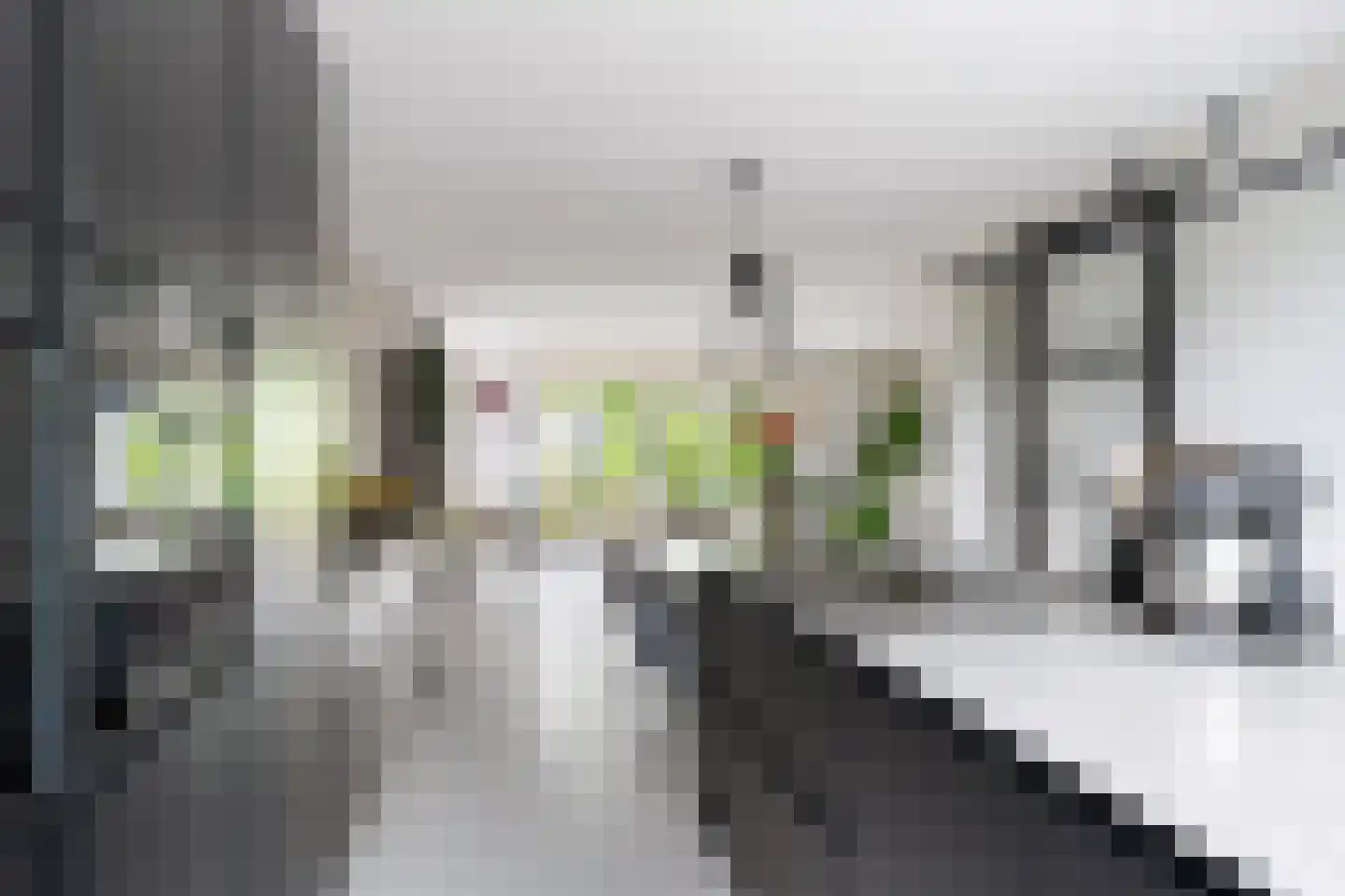 De Stelling 8 Suwâld thumbnail 7