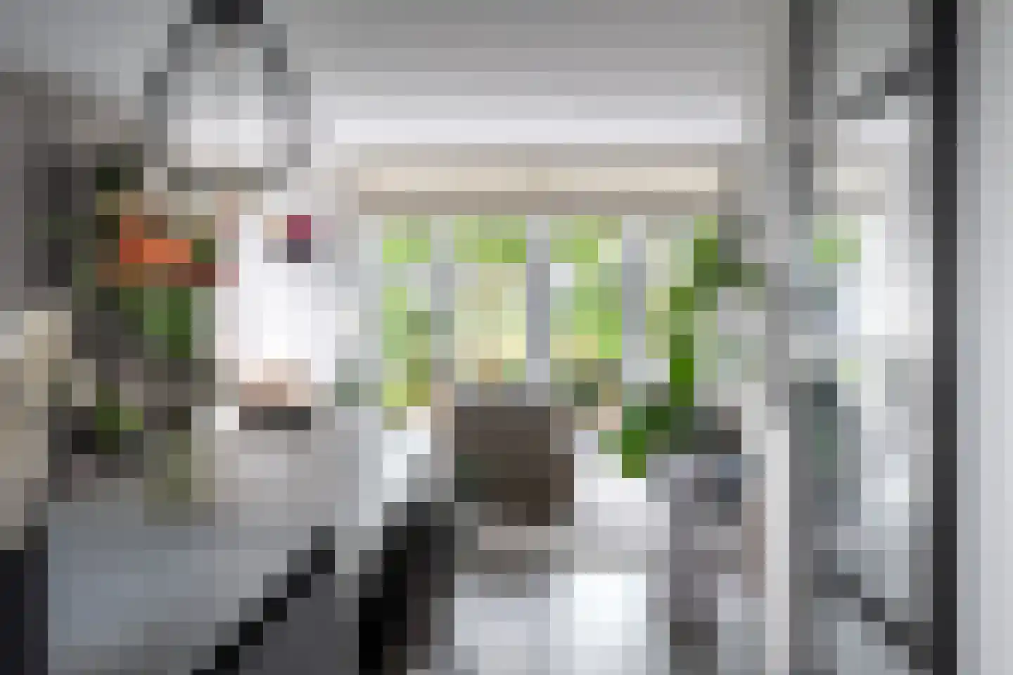 De Stelling 8 Suwâld thumbnail 8
