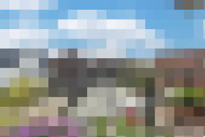 De Stelling 9 Muiden thumbnail 28