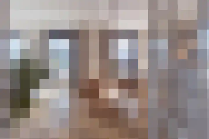 De Stelling 9 Muiden thumbnail 7