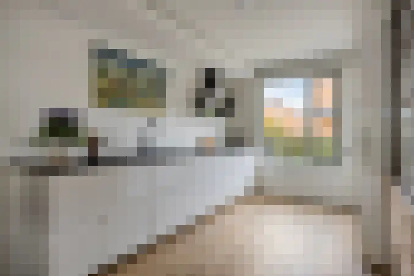 De Stelp 11 Amersfoort thumbnail 13